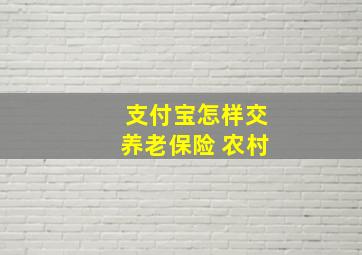 支付宝怎样交养老保险 农村